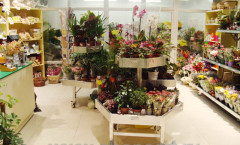 Торговое оборудование для цветочных магазинов