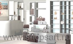 Визуализация магазина сумок на основе коллекции Бренд